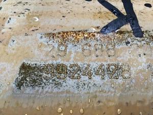 Liebherr Hoist Cylinder